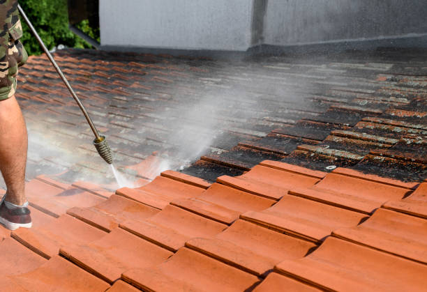 Best Power Washing Near Me  in Killeen, TX